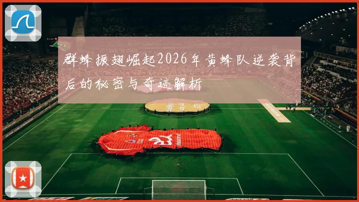 群蜂振翅崛起2026年黄蜂队逆袭背后的秘密与奇迹解析