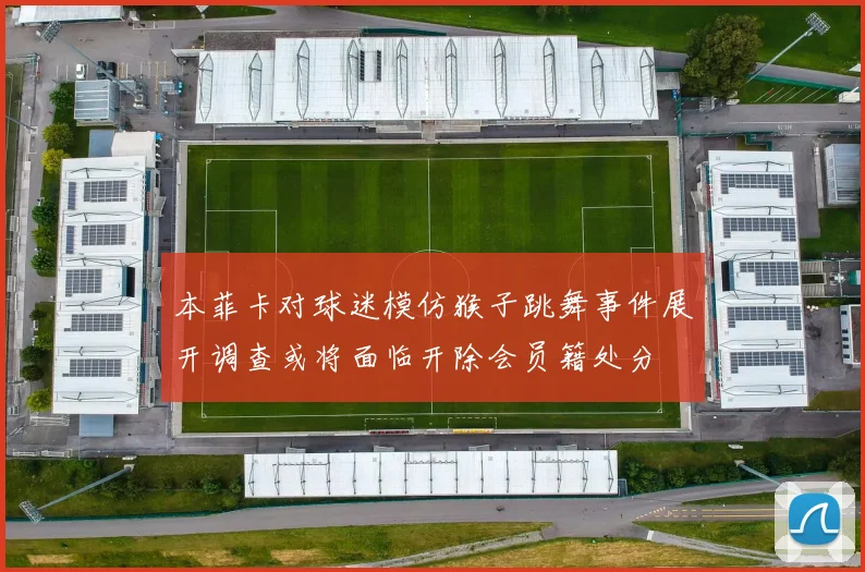 本菲卡对球迷模仿猴子跳舞事件展开调查或将面临开除会员籍处分