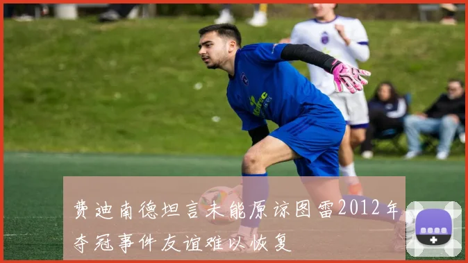 费迪南德坦言未能原谅图雷2012年夺冠事件友谊难以恢复